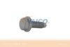 VAICO V10-2710 Screw